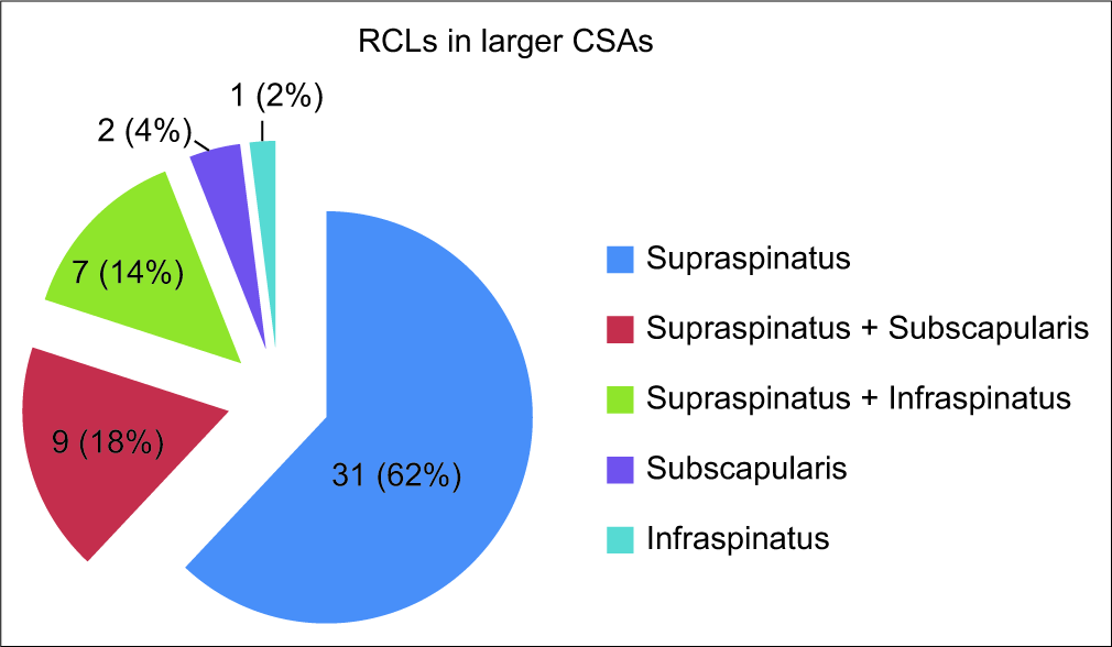 Distribution of rotator cuff lesions depicted by the pie diagram.