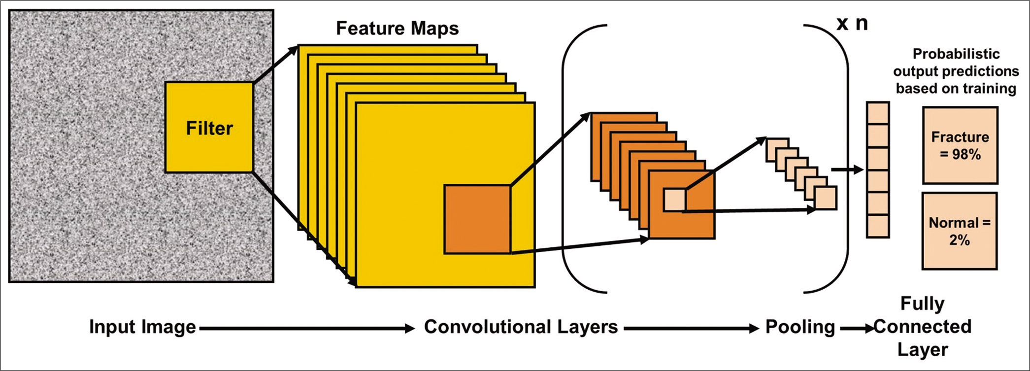 A simplistic representation of a convolutional neural network. Data from an input image are transferred through a convolutional layer followed by pooling of features. Data from the pool are further inputted into another convolutional layer and so on. In the end, a fully connected layer maps all features between the final convolutional layer and the previous layer. The final output provides probabilistic predictions, highlighting which output is more likely based on how the algorithm was trained.