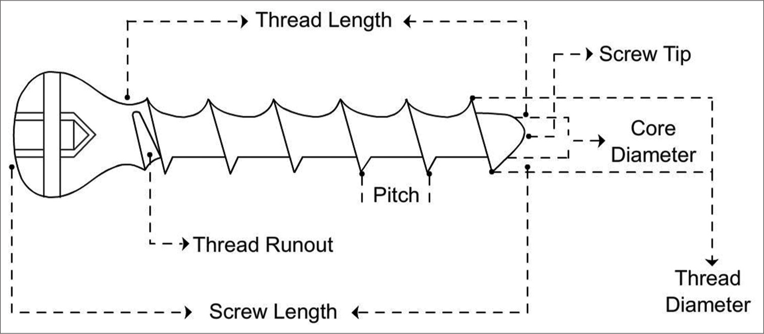Line diagram of screw structure.
