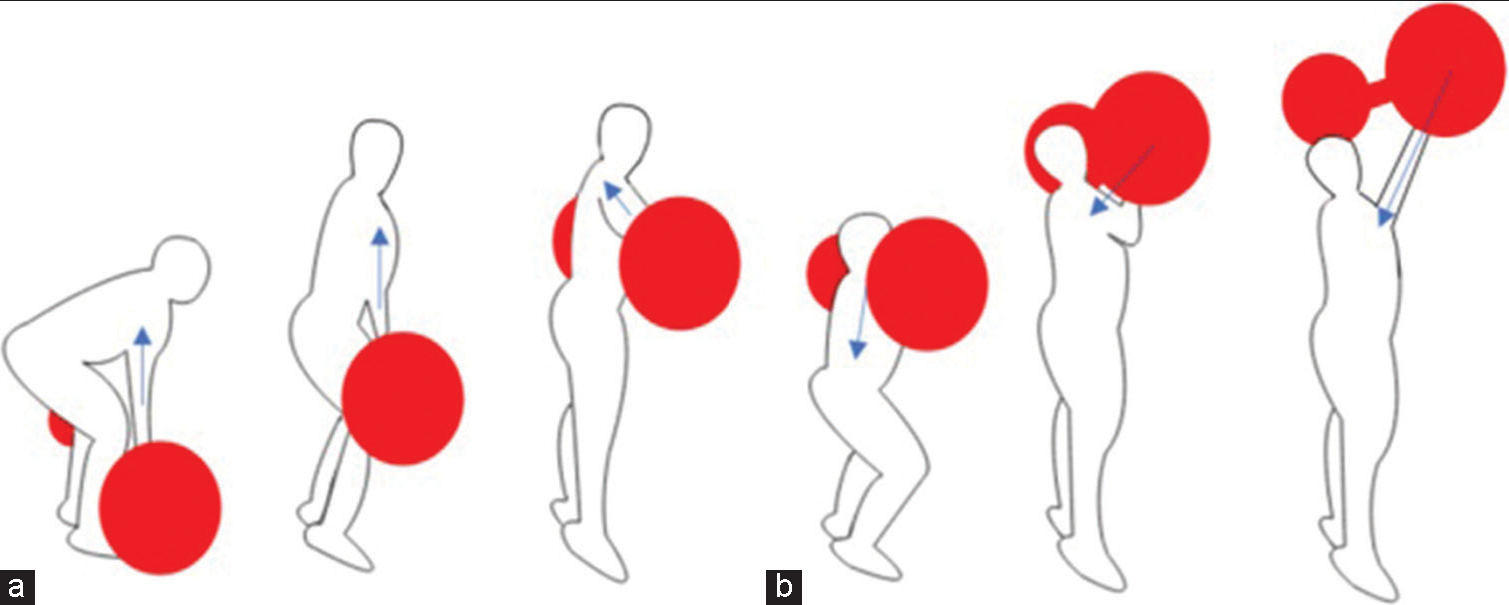 (a and b) Diagrams depicting the clean-and-jerk phases of weightlifting. The transmission of vector force changes through each phase of this exercise.