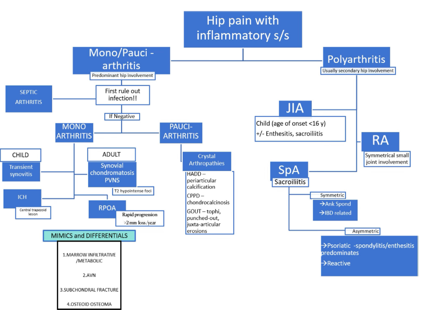 Flowchart depicting the various inflammatory and infective arthritis of the hip joint. [JIA: Juvenile idiopathic arthritis, RA: Rheumatoid arthritis, SpA: Spondyloarhtiris, Ank Spond: Ankylosing spondylitis, IBD: Inflammatory bowel disease, ICH: Idiopathic chondrolysis of hip, RPOA: Rapidly progressive osteoarthritis, PVNS: Pigmented villonodular synovitis, AVN: Avascular necrosis, HADD: Hydroxyapatite deposition disease, CPPD: Calcium pyrophosphate deposition disease, GOUT: Gouty arthritis].